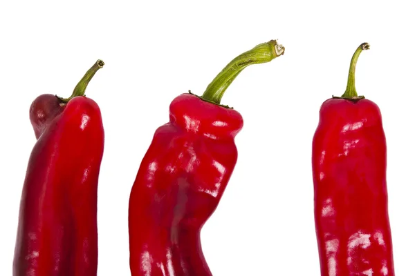 Paprika — Stockfoto