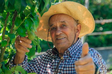 farmer checking the harvest with okay sign