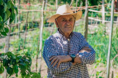 portrait of senior farmer in the field