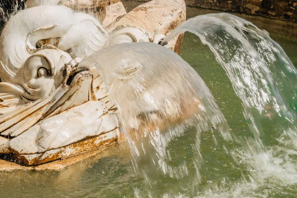 Closeup Water Jet Ornamental Fountain Aranjuez Island Garden Madrid — Stock Photo, Image