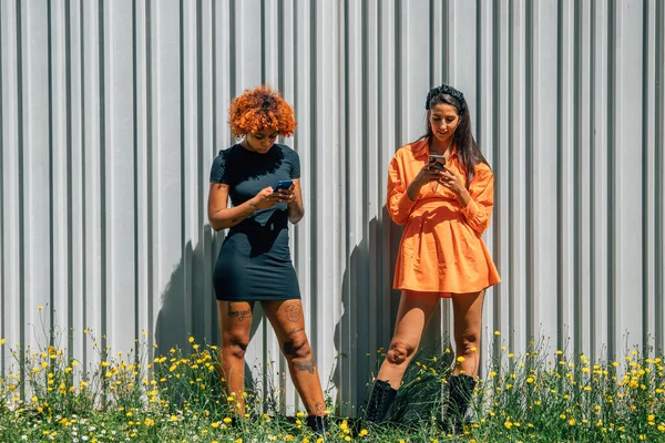 Meninas Com Telefone Celular Parede Com Espaço Cópia Flores — Fotografia de Stock