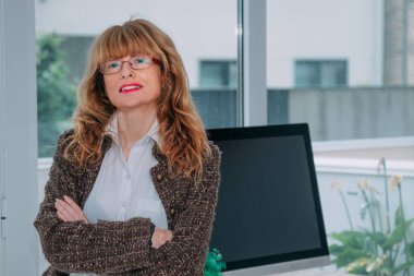 Bilgisayarlı bir iş kadını.