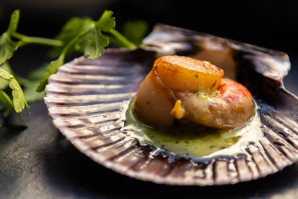 Grilled Seafood Green Sauce Scallops — Stock Photo, Image