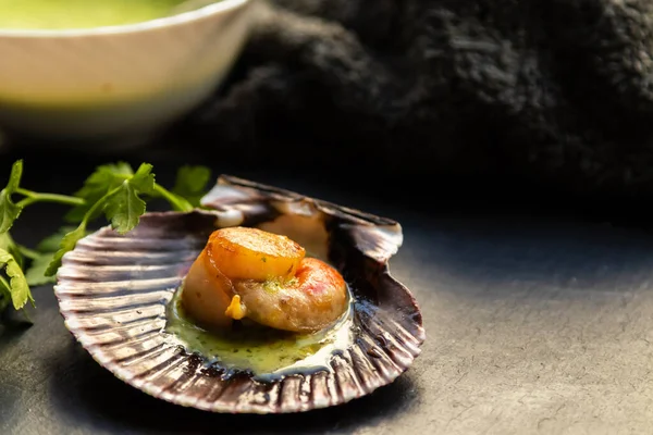 Grilled Seafood Green Sauce Scallops — Stock Photo, Image