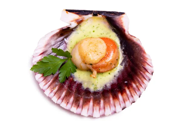 Grilled Scallop Scallop Shellfish Green Sauce Isolated — Stock Photo, Image