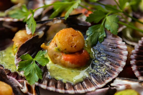 Scallops Prepared Shell — Stock Photo, Image