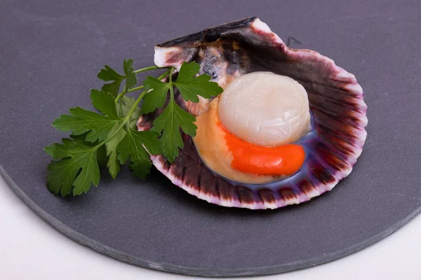 Raw Natural Scallop Its Shell — Stock Photo, Image