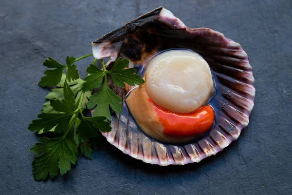 Natural Scallop Its Shell Shellfish — Stock Photo, Image