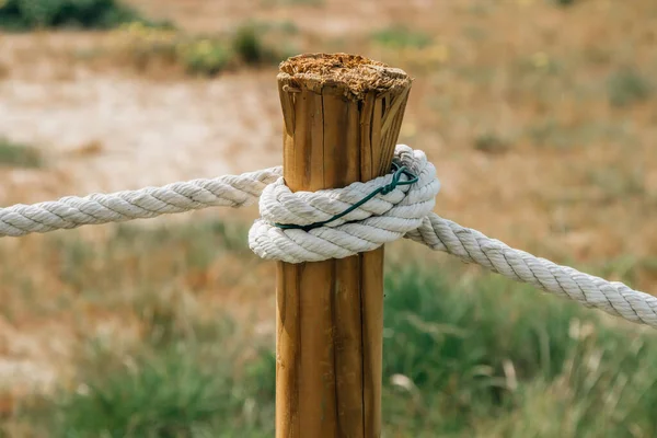 Close Rope Tied Wooden Post — Stockfoto