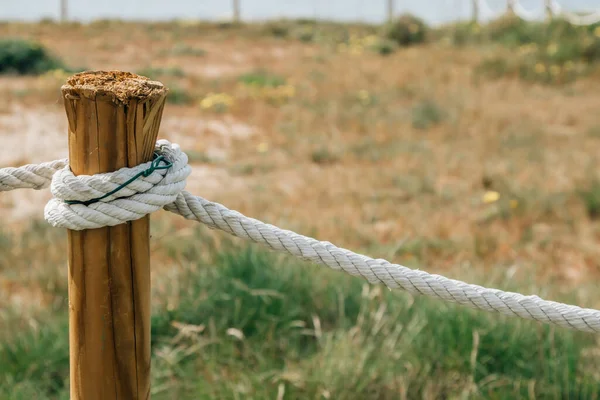 Close Rope Tied Wooden Post — стоковое фото