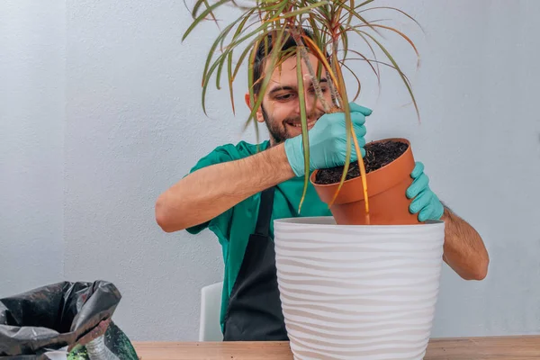 Hombre Trasplantando Planta Maceta Jardinería — Foto de Stock