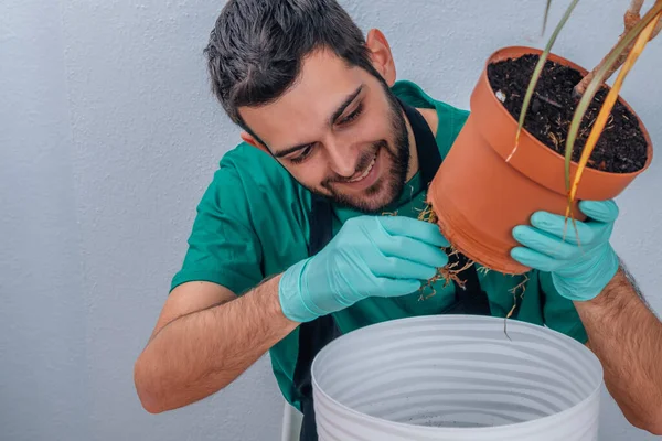 Hombre Trasplantando Planta Maceta Jardinería — Foto de Stock