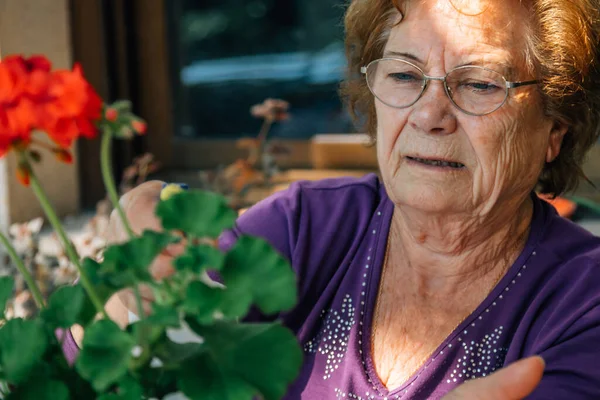 Senior Kvinna Trädgården Ordna Eller Skära Blommor — Stockfoto