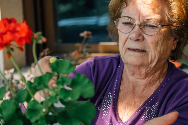 Senior Kvinna Trädgården Ordna Eller Skära Blommor — Stockfoto