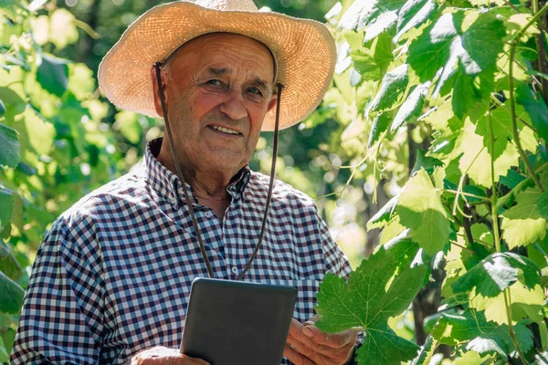 Farmer Farmer Tablet Technology Device Field — 스톡 사진