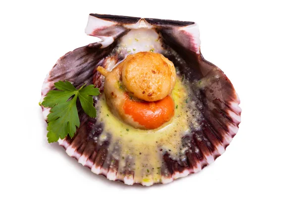 Pétoncles Grillés Sauce Verte Coquille Isolée — Photo