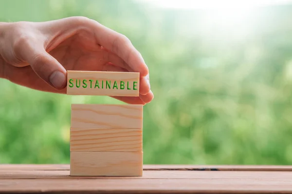 Hand Wooden Pieces Sustainable Concept — Stock Photo, Image