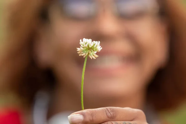 Closeup Plant Herb Girl Hand — Fotografia de Stock