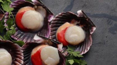 fresh scallops raw in their shell