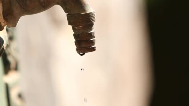 Faucet Dripping Leak Loss Water — Vídeo de Stock