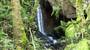 spring and source of river in ribeira sacra, ourense, galicia