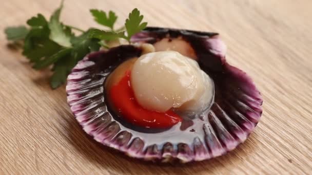 Natural Scallops Typical Galicia Spain — Video