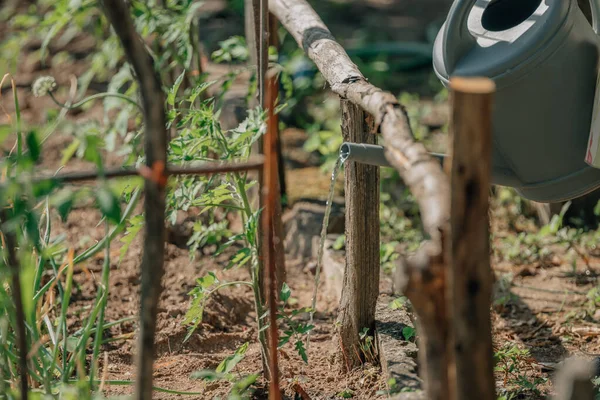 Regar Pode Regar Jardim — Fotografia de Stock