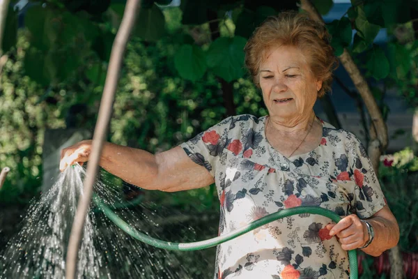 Senior Woman Summer Watering Vegetable Garden — Stok fotoğraf
