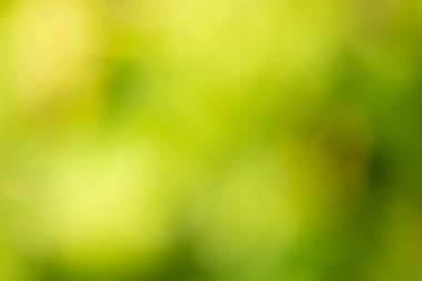 Soyut doğa yeşil arkaplan, ekoloji