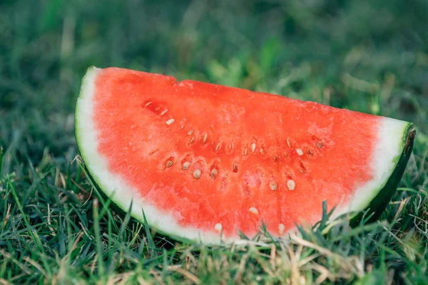Open Natuurlijke Watermeloen Zomer Het Gras — Stockfoto