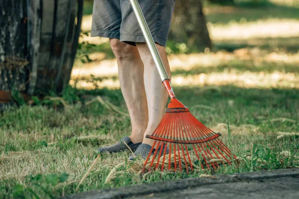 Κηπουρός Που Μαζεύει Σκουπίζει Τσουγκράνα — Φωτογραφία Αρχείου