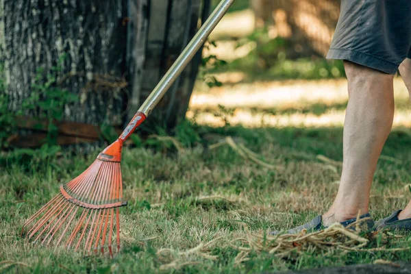 Jardineiro Escolhendo Varrendo Com Ancinho — Fotografia de Stock