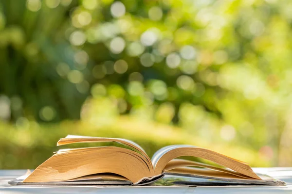 Libros Abiertos Sobre Fondo Verde Natural — Foto de Stock