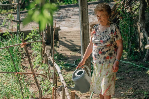 Старша Жінка Влітку Поливає Овочевий Сад Балончиком Поливу — стокове фото
