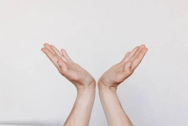 Dos manos con las palmas sobre un fondo claro — Foto de Stock