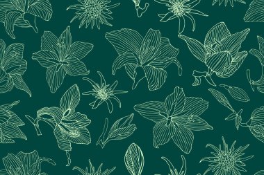 Çiçeksiz sanat vektörü deseni. Hafif hippeastrum ve tragopogon çiçekleri