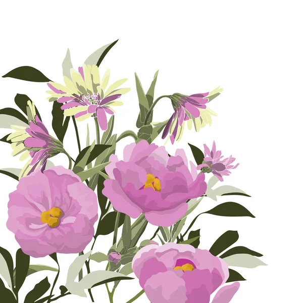 Illustration Vectorielle Fleurs Pivoines Roses Sur Fond Blanc — Image vectorielle