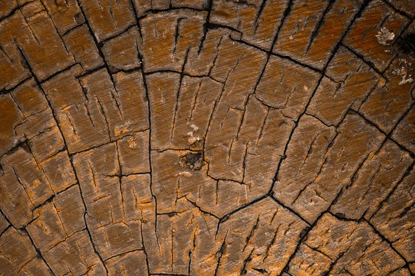 Textura de madeira — Fotografia de Stock