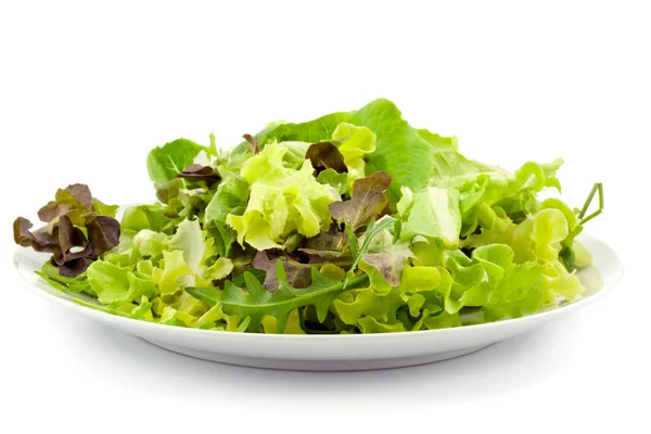 Blandad färsk sallad — Stockfoto