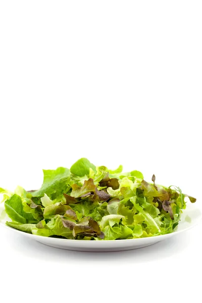 Gemischter frischer Salat — Stockfoto