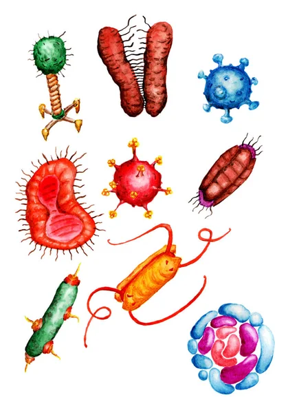 Handritade Akvarellvirus Och Bakterieillustrationer Samling Hand Dras Klotter Färg Isolerad — Stockfoto