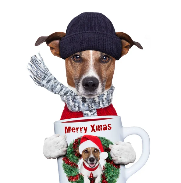 Christmas dog with cup — Stock Photo, Image