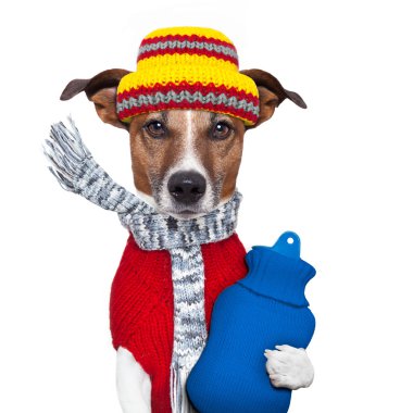 Winter dog scarf and hat clipart