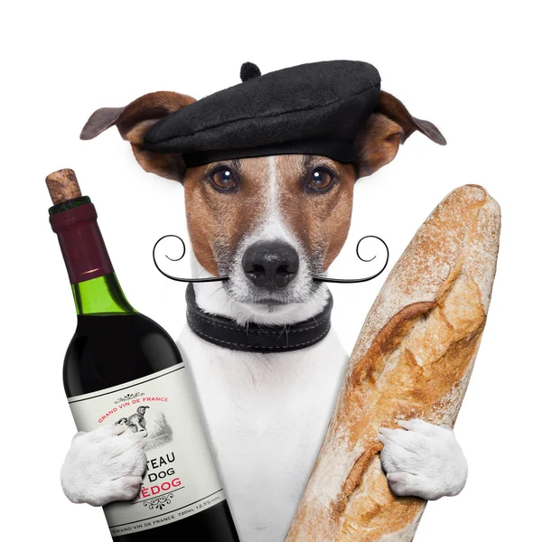 French dog wine baguete beret — Stock Photo, Image