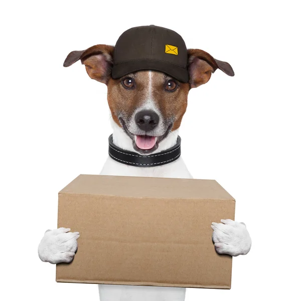 Dog delivery post — Stock Photo, Image