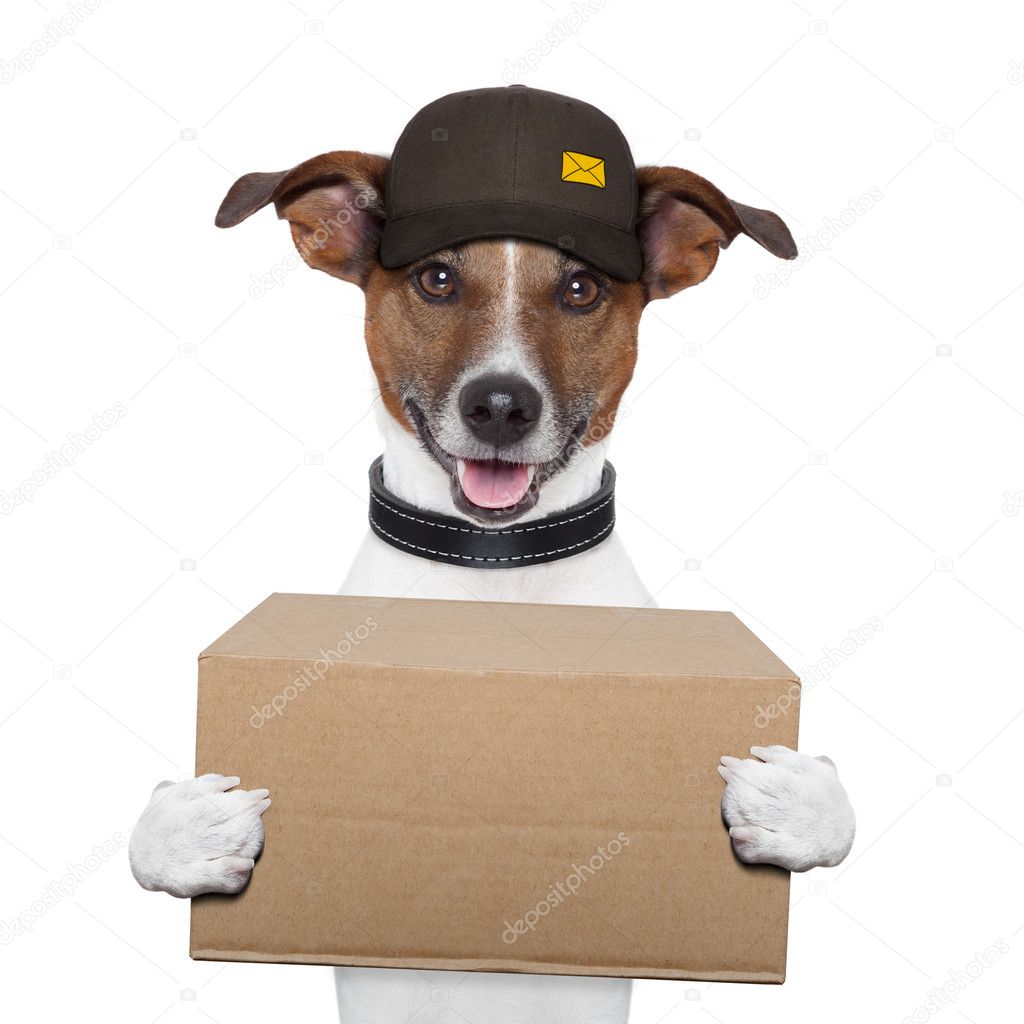 Dog delivery post