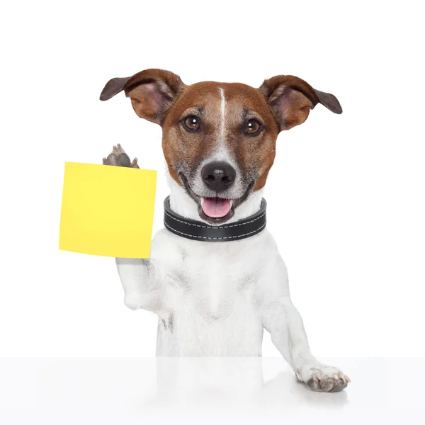 Sticky note banner dog Stock Image