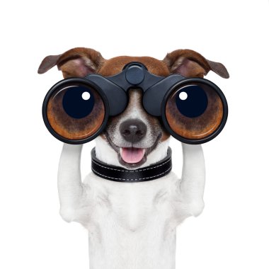 Binoculars searching looking observing dog clipart