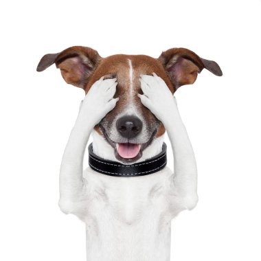 Hiding covering eye dog clipart