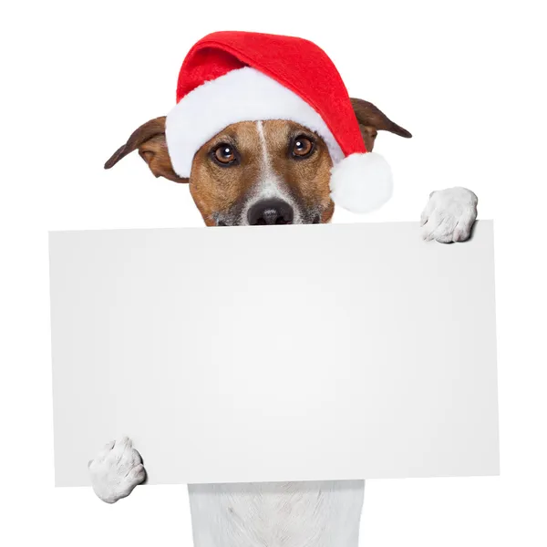 Jul banner platshållare hund — Stockfoto